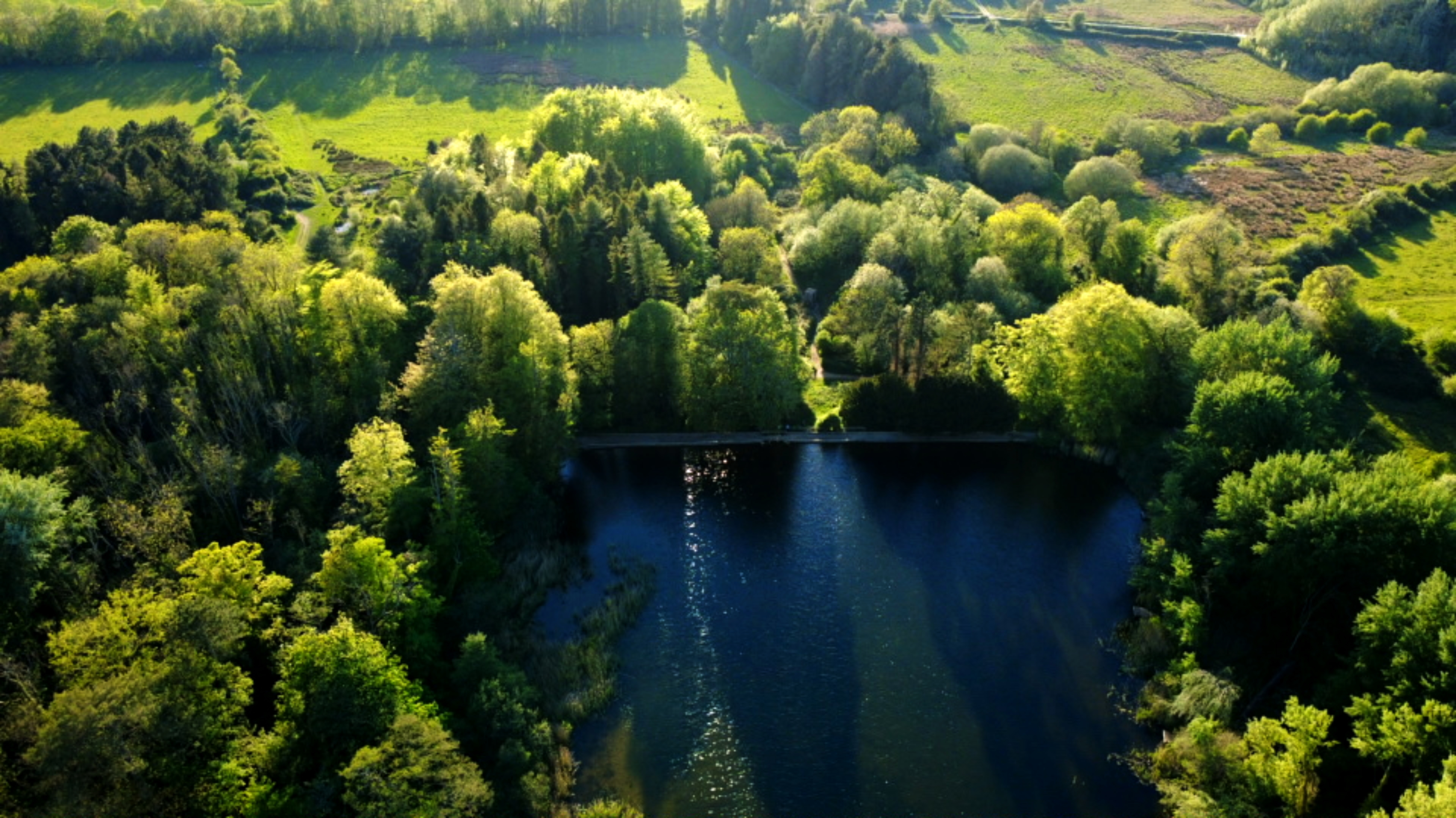 Stanton Park dam from above